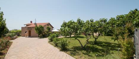 A paved pathway leading to a building with a red-tiled roof, surrounded by greenery and trees.