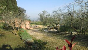 Property grounds - Farmhouse Il Colle (Bagno A Ripoli)
