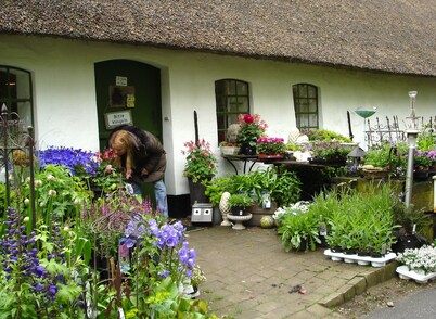 Fantástica paz en el dique, reserva natural, cerca de St. Peter Ording