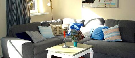 Una televisión, un reproductor de DVD, libros, una biblioteca de música