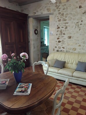 Televisión, chimenea y libros 