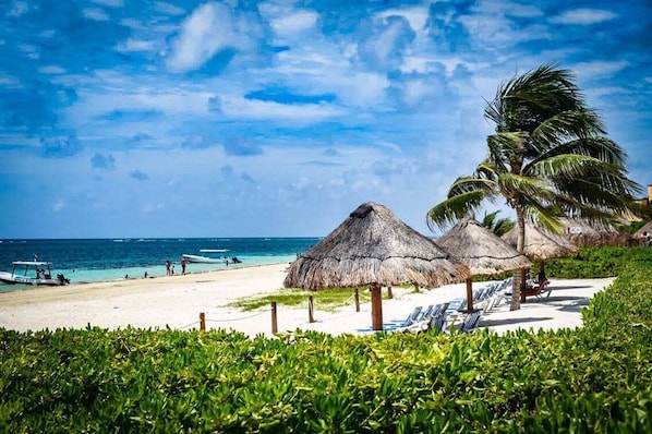 Beach nearby, sun-loungers, beach towels - AQUA GUESTHOUSE 4 ~ STEPS FROM THE BEACH ~ A+ INTERNET (Puerto Morelos,)