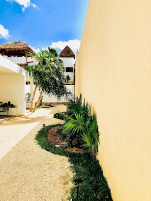 Property grounds - AQUA GUESTHOUSE 4 ~ STEPS FROM THE BEACH ~ A+ INTERNET (Puerto Morelos,)