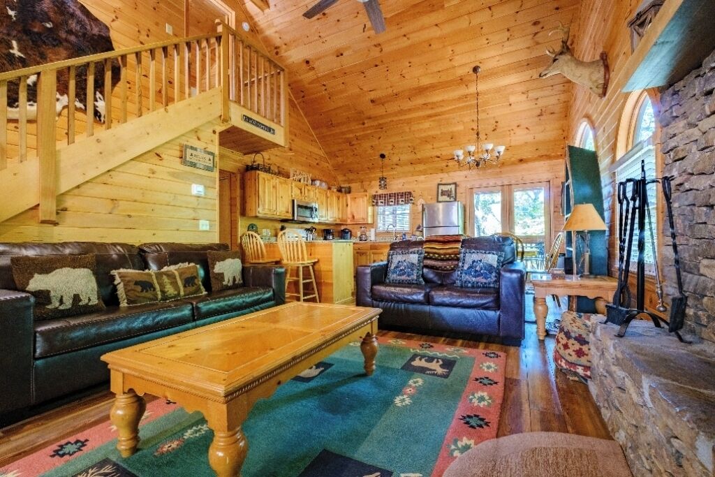 TV connectée, cheminée, lecteur de DVD, chaîne hi-fi