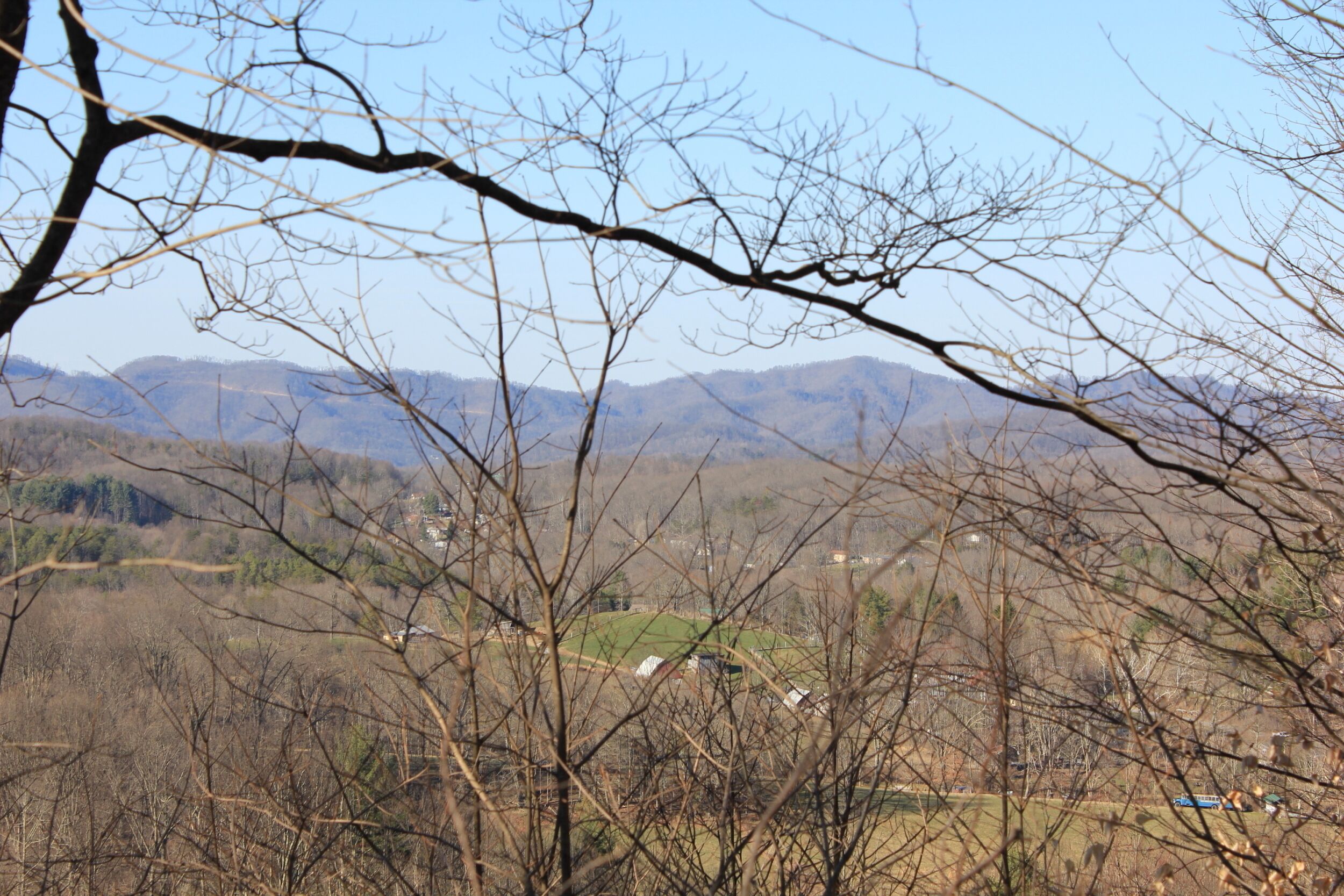 View from front yard