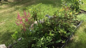 A house with a wooden pergola, a small garden with various plants, and a grey exterior. - Luxury & Dog Friendly (Nelson)