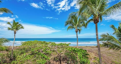 Beach Front Home avec piscine et terrasse - 8 personnes