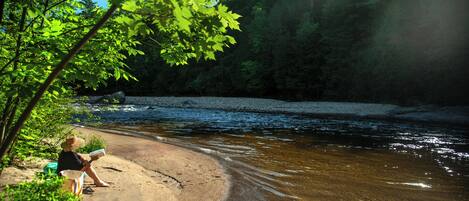A riverbank with a person reading, surrounded by trees and a clear sky.