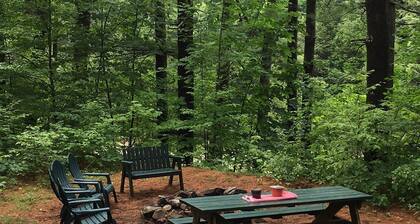 Country Roads Take me Home - Ausable River Access on 5 Acres