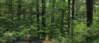 Country Roads Take me Home - Ausable River Access on 5 Acres