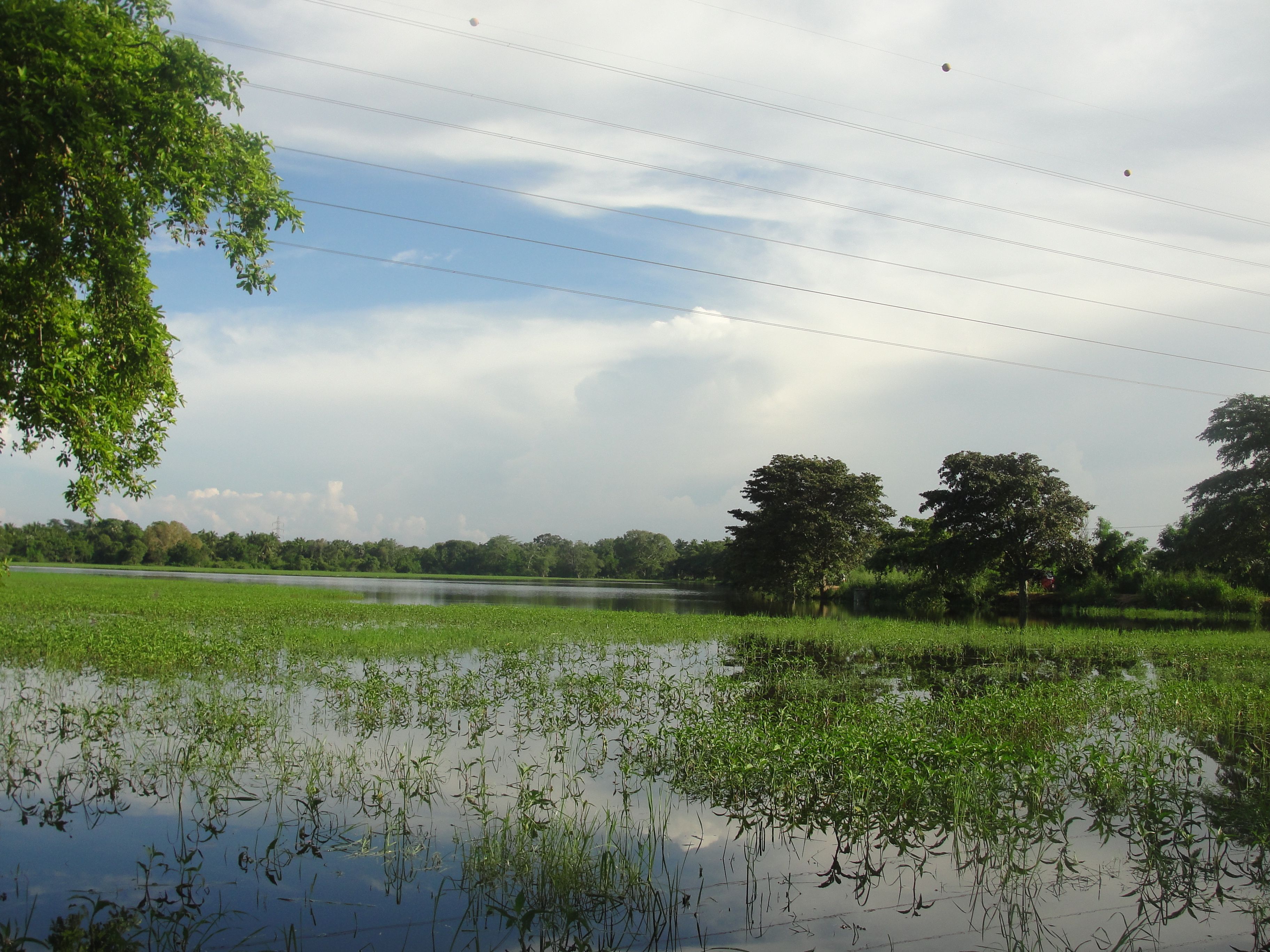 Lake