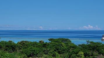 A coastal landscape with dense green vegetation in the foreground and a clear blue ocean extending to the horizon.