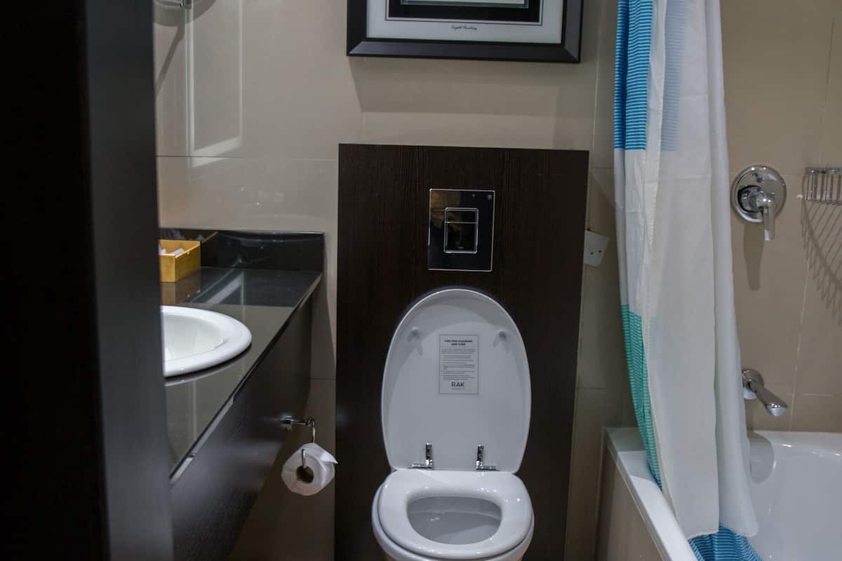 executive suite, 1 bedroom, non smoking | bathroom | free toiletries, hair dryer, towels, soap