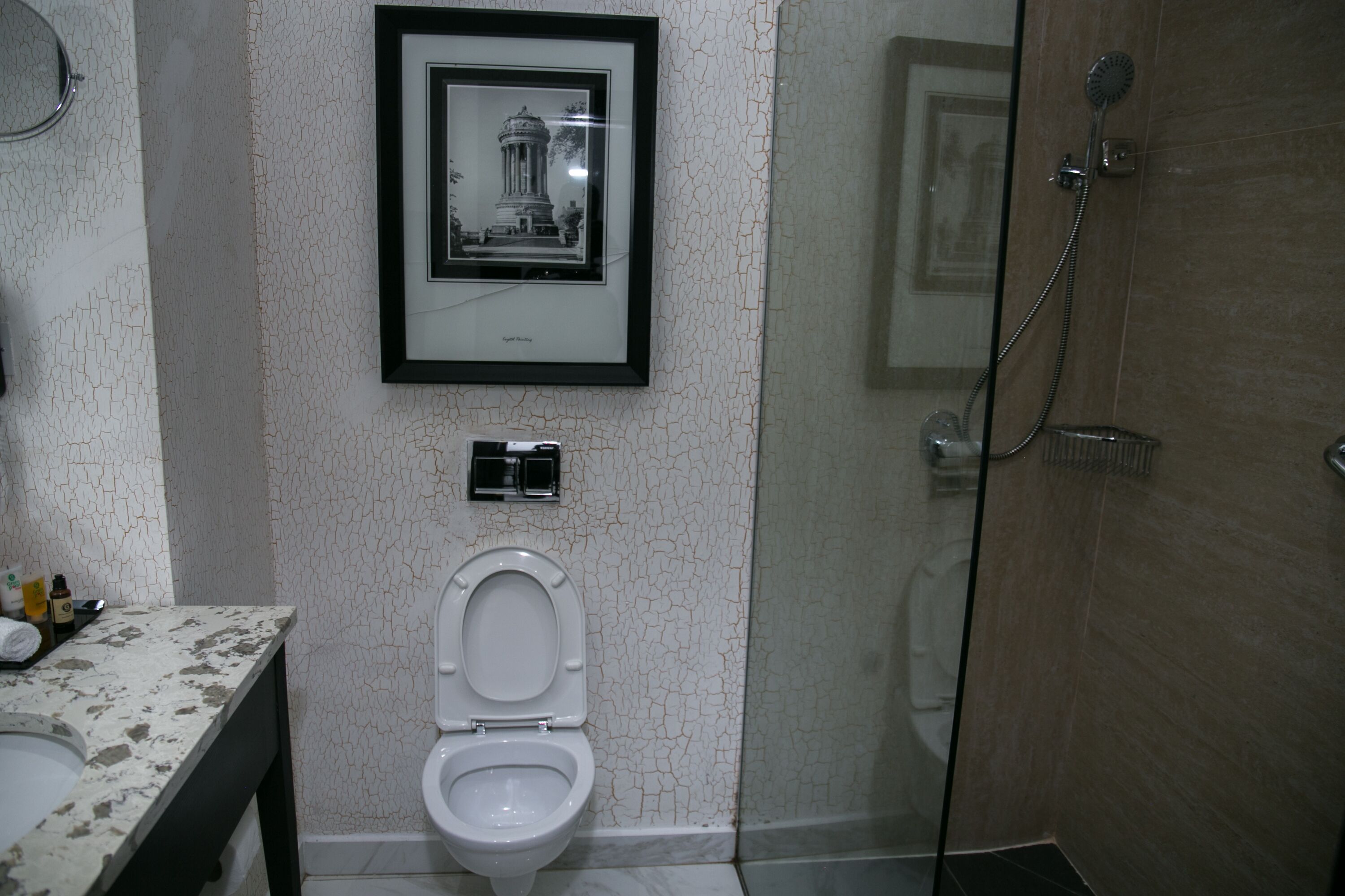 A bathroom with a toilet, a framed picture on the wall, and a shower area.
