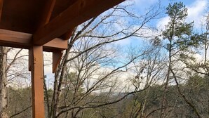 Una terraza de madera con barandilla que da a un área boscosa.