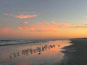 Beach nearby, beach towels