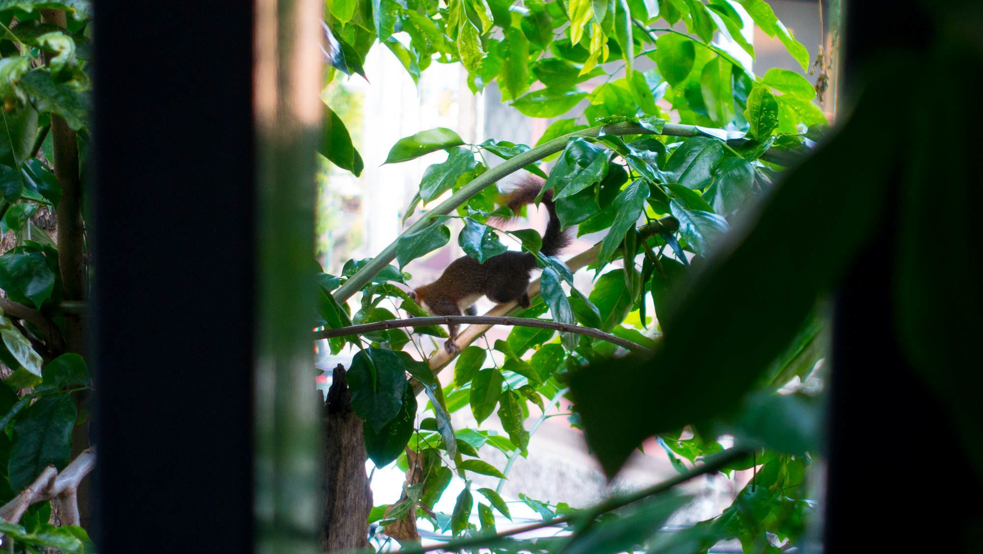 Photo - Comfy Bed Hostel