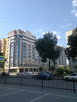 Bar (on property) - Pretty Apartment on Vokzalnaya 77 (Ryazan)