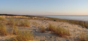 Ubicación cercana a la playa y tumbonas