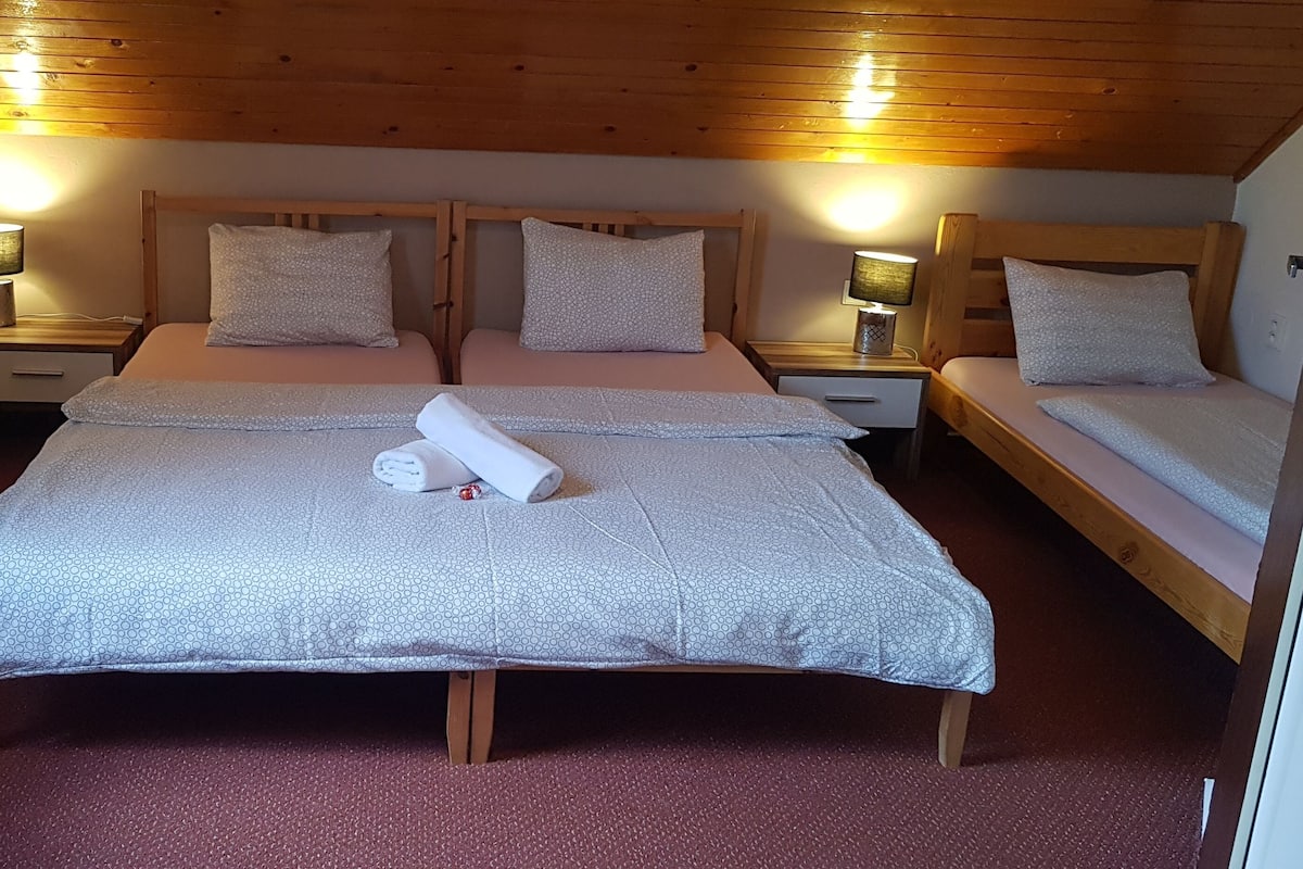 Standard Triple Room | Cribs/infant beds, rollaway beds, free WiFi, bed sheets