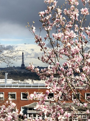 A view of the Eiffel Tower with blooming pink flowers in the foreground.