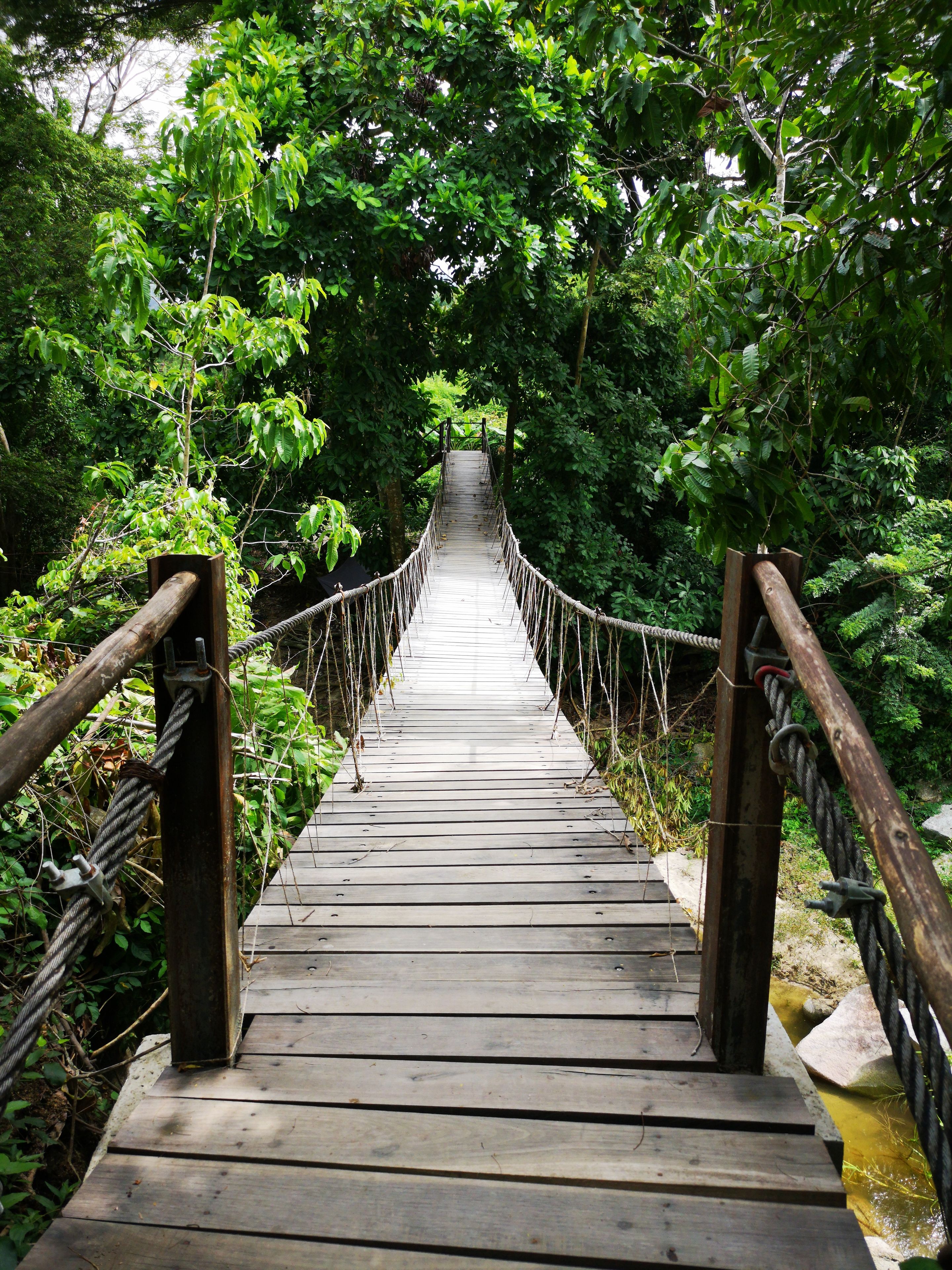 Foto - Hostal Mama Tayrona