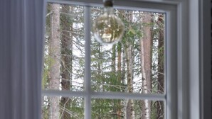 A window with a view of a forested area with snow on the ground.