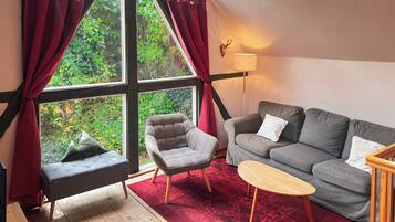 Smart TV, DVD player, books, stereo