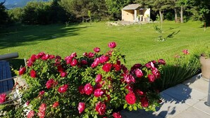 Un jardin avec un petit bâtiment, une végétation luxuriante et un ciel dégagé.