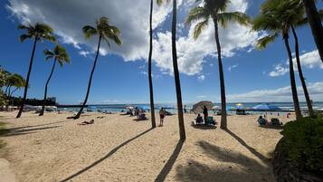 A beach with palm trees, sun loungers, and umbrellas under a clear sky.