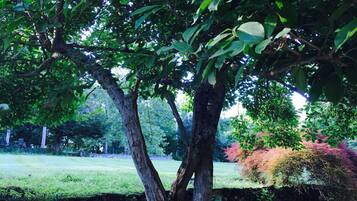 Enceinte de lâhĂ©bergement