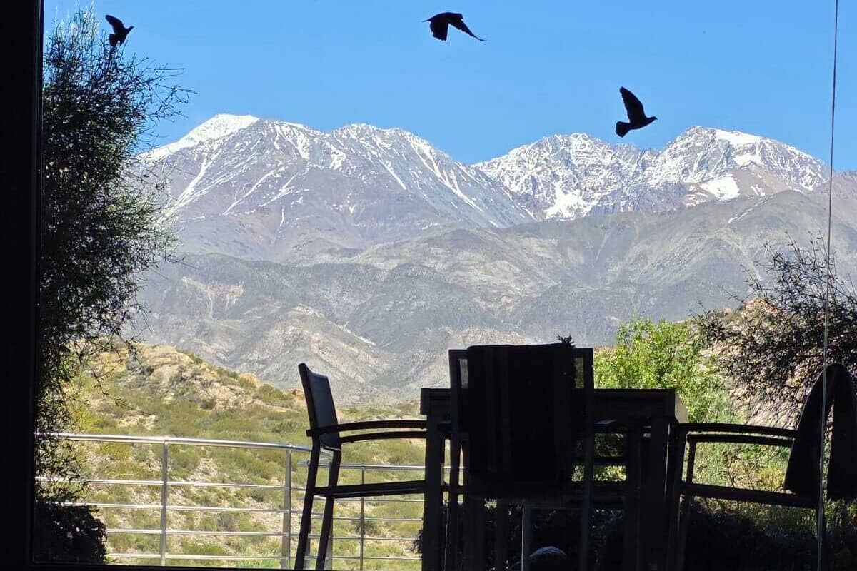 Exclusieve kamer, 1 kingsize bed met slaapbank, niet-roken | Lakens van Egyptisch katoen, luxe beddengoed, donsdekens