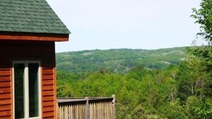 Une cabane en bois dotée d’un balcon donnant sur une vallée boisée.