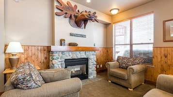 Télévision, cheminée, lecteur de DVD