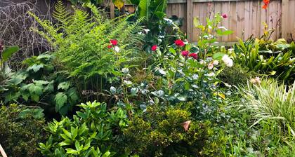 Charming Cottage Near Pukekura Park