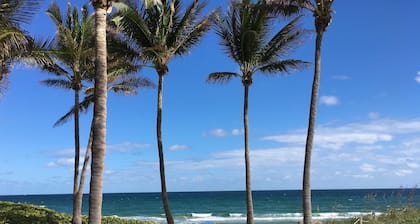 Kaunis rannan vieressä sijaitseva studio, muutaman askeleen päässä rannasta