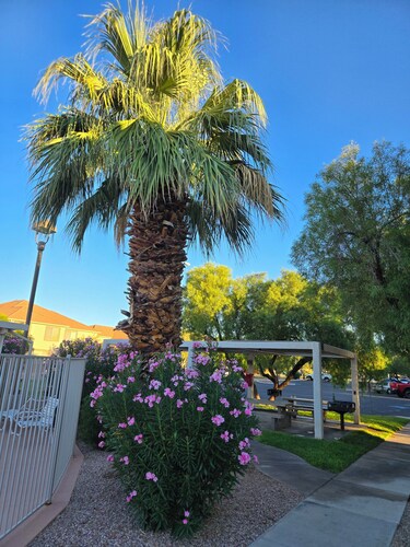 DISCOUNTED RATES SEP - DEC!!!!! QUIET, Central location | Swimming Pool outside