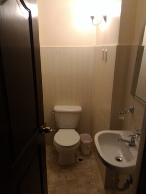 Combined shower/tub, towels, toilet paper