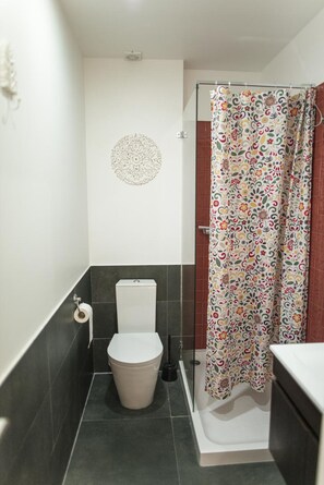 Chuveiro, secador de cabelo, toalhas de banho, sabonete