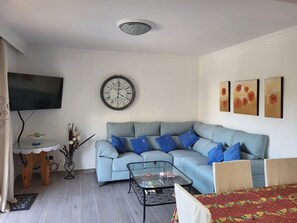 电视、DVD 播放器