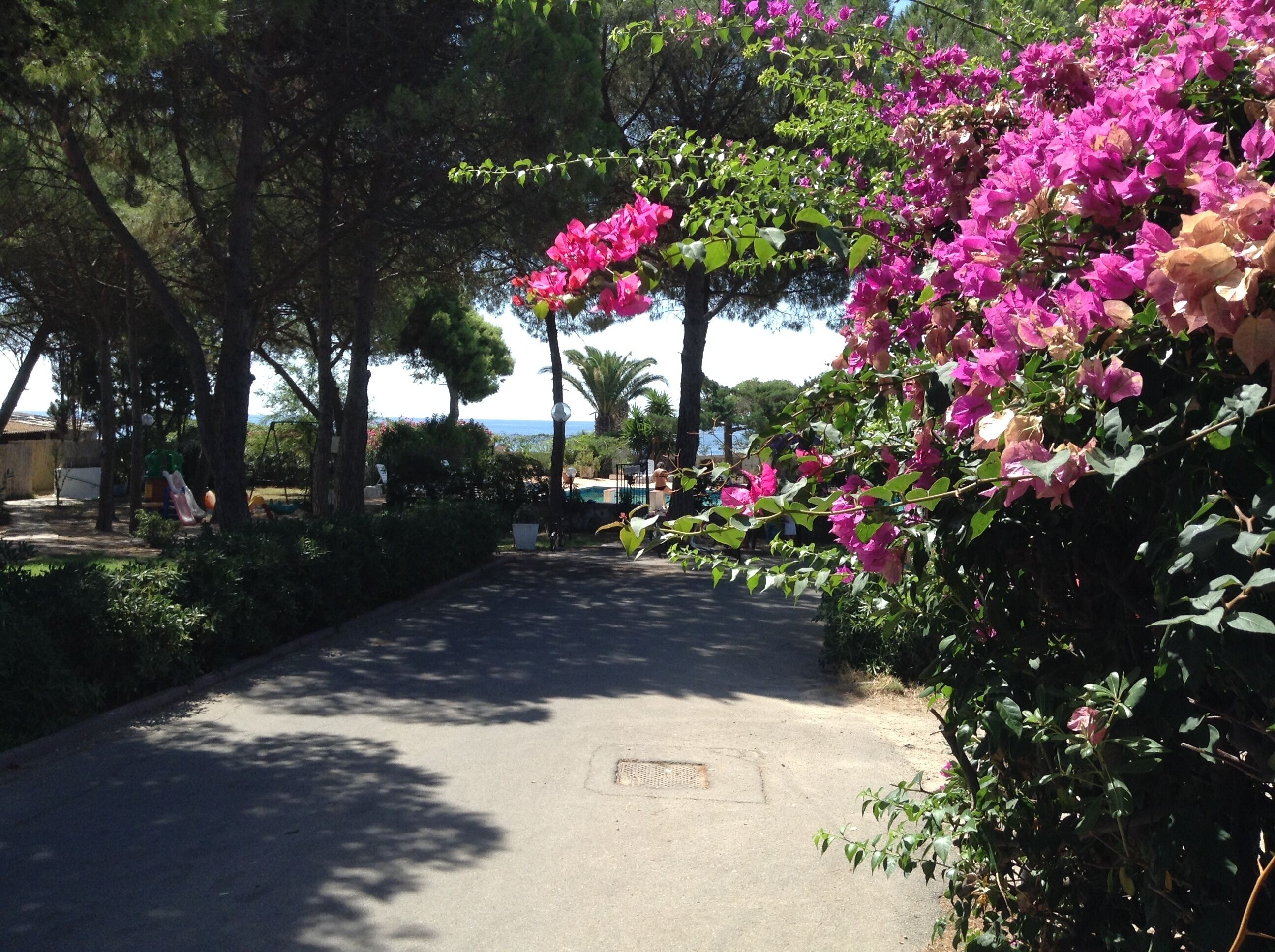 Parco della struttura