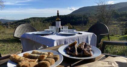 XIII century cottage surrounded of vineyards
