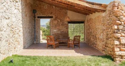 XIII century cottage surrounded of vineyards