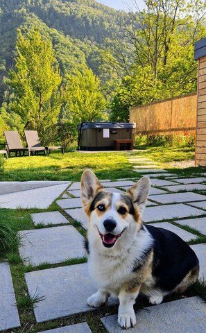 Property grounds - Luxury one bedroom apartment Blazar with relaxing garden featuring hot tub (Tolmin)