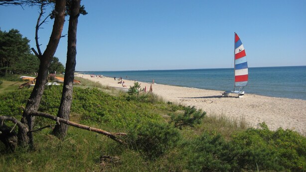 A beach with a sailboat, trees, and a clear sky. - Lovely cottage in Juleboda, close to the sea with wonderful sandy beach (Degeberga)