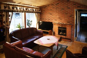 TV, fireplace, DVD player, books