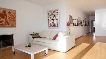 TV connectée, cheminée, lecteur de DVD, livres