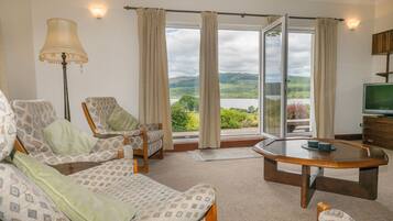 Fernseher, Kamin, DVD-Player, Bücher