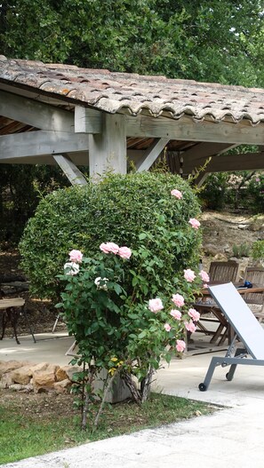 Terraza o patio