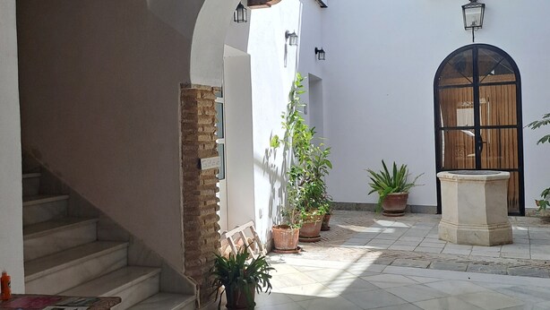 A courtyard with a stone staircase, potted plants, and a tiled floor. - Apartment in Historic Sanluqueña House With Charm (Sanlúcar de Barrameda)